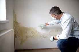 Best Environmental Consulting for Mold Prevention  in Hastings, PA